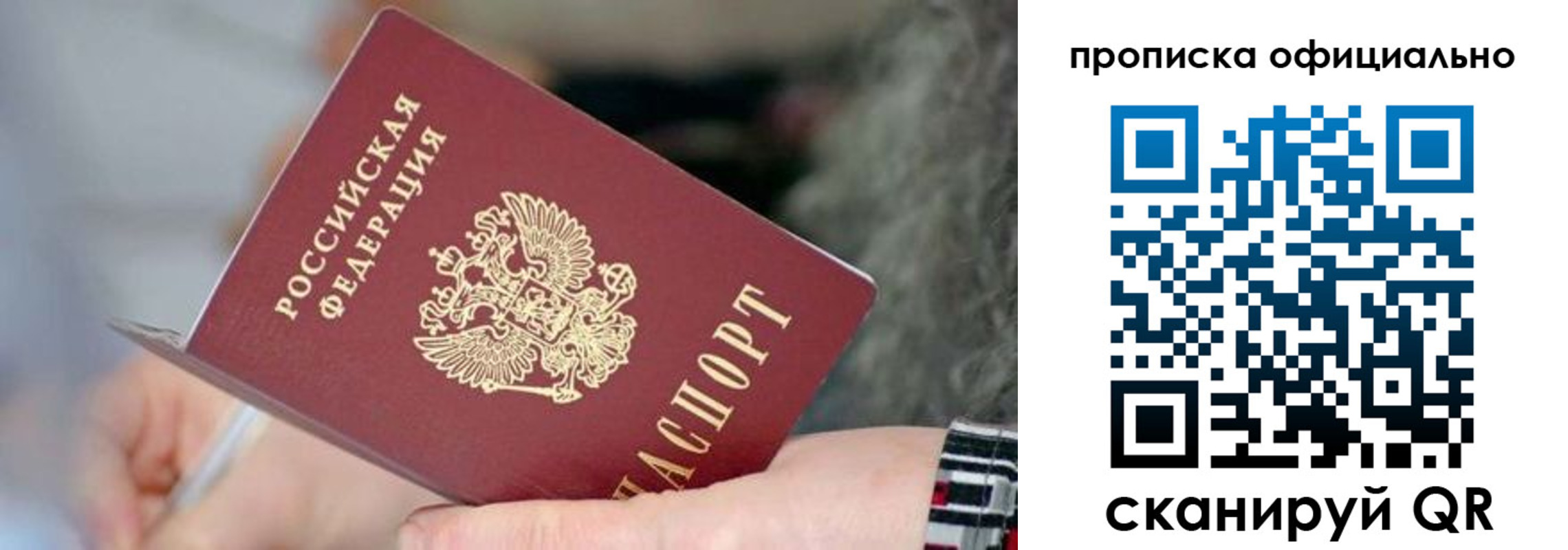 временная регистрация поиск в Жукове